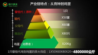 峪口禽业 餐桌上的变化给家禽育种公司提出了新挑战