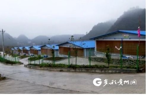 平塘县乌鸡产业园 节后生产稳定有序 铆足干劲开新局